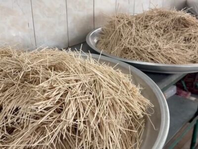 توزیع آش نذری توسط بسیجیان قوچانی