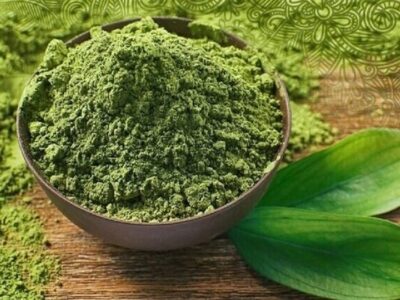 توسعه کشت گیاهان دارویی در دیمزارهای کجور