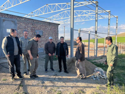 سایت تکثیر و مرکز تحقیقات میش‌ مرغ بوکان تکمیل می شود