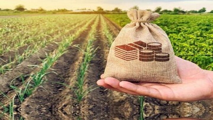 سرمایه صندوق کشاورزی مازندران افزایش یابد