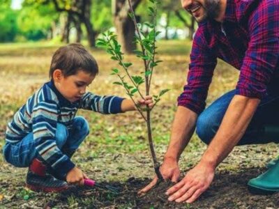 غرس 3000 نهال مثمر به نام و یاد رهبر شهید