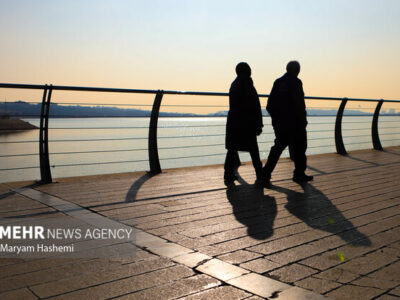 ماجرای حشرات ریز دریاچه شهدای خلیج فارس چیست؟