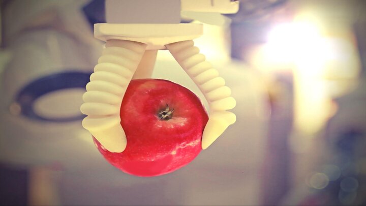 ماهیچه مصنوعی می ‌تواند خود را ترمیم کند