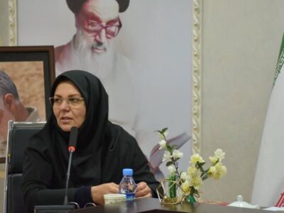 محمدی: نیمی از کتابخانه‌های کرمانشاه در جنگ رمضان فعال بودند