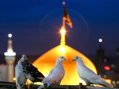 موسیقی برای امام رضا؛ از نیایش تا روایت مدرن از امام رضا(ع)