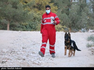 همدلی زیرکانه؛ راز بقا در فرهنگ ایرانی / تقدیر از سگ زنده یاب روی صحنه