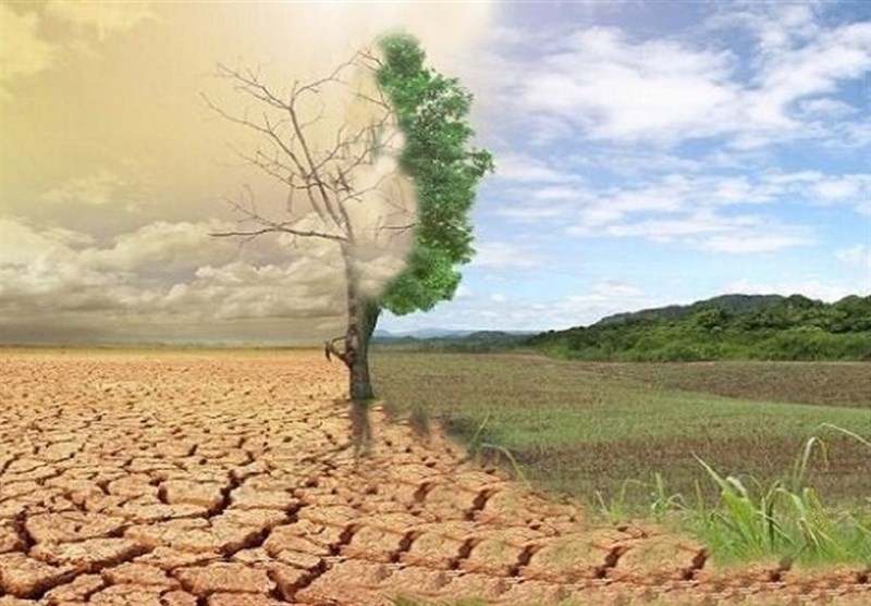 کرامت انسان در نگاه امام سجاد؛ تفسیر عملی آیه‌ی «لقد کرمنا بنی آدم»