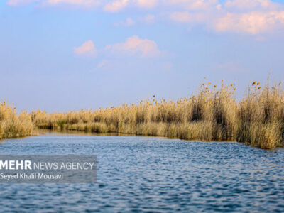 ۴ دستگاه ادوات صید برقی در تالاب شادگان کشف و ضبط شد