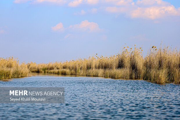 ۴ دستگاه ادوات صید برقی در تالاب شادگان کشف و ضبط شد