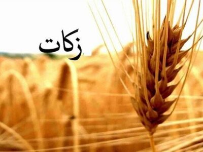 اجرای ۶۲ طرح اشتغالزایی دامداری با زکات در ایلام