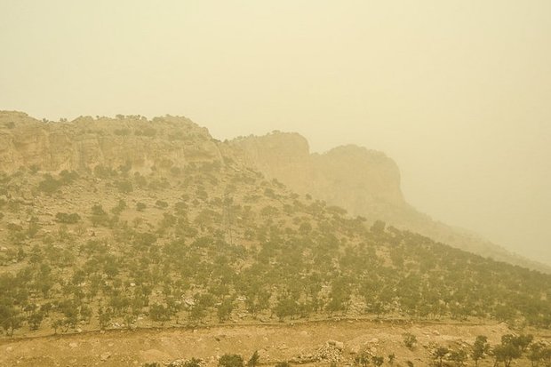ادارات ایلام به دلیل گرد و غبار تعطیل اعلام شد