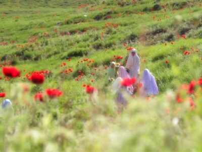 الگوی دینیِ حضور زن در جامعه؛ نه انزوا، نه بی‌مرزی