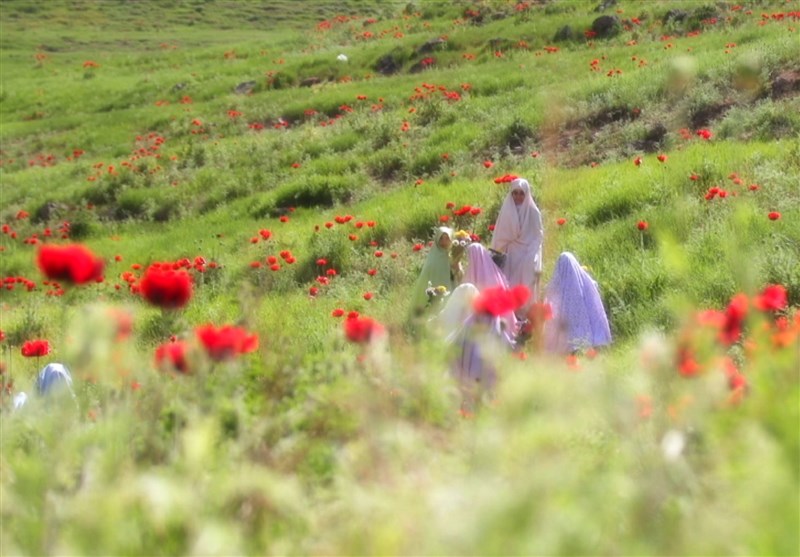 الگوی دینیِ حضور زن در جامعه؛ نه انزوا، نه بی‌مرزی