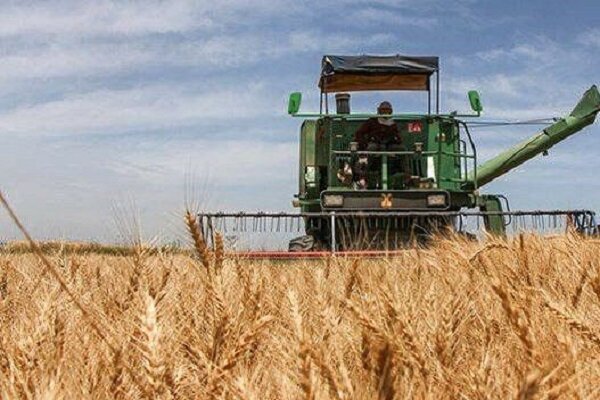 امسال بیش از یک میلیون تن گندم از کشاورزان گلستانی خریداری میشود