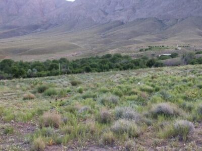 برخورد قانونی با تخریب‌کنندگان مرتع در شهرستان ماه‌نشان