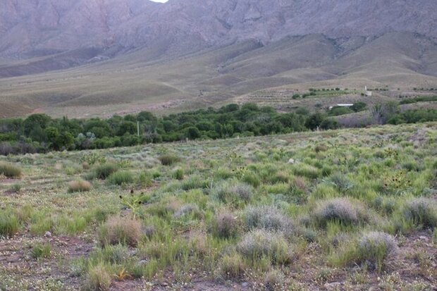 برخورد قانونی با تخریب‌کنندگان مرتع در شهرستان ماه‌نشان