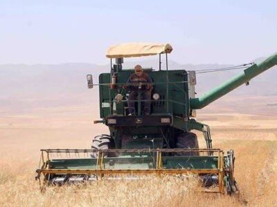 برداشت ۱۵ هزار تنی جو از مزارع میامی؛ بهره‌گیری از کمباین‌های مدرن