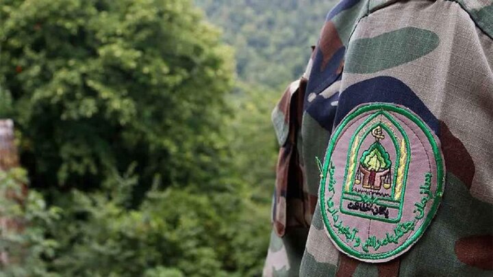 «بلوطستان» نگران تابستان؛ آتش در کمین است! «بلوطستان» نگران تابستان؛ آتش در کمین است!