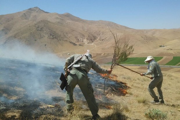 «بلوطستان» نگران تابستان؛ آتش در کمین است! «بلوطستان» نگران تابستان؛ آتش در کمین است!