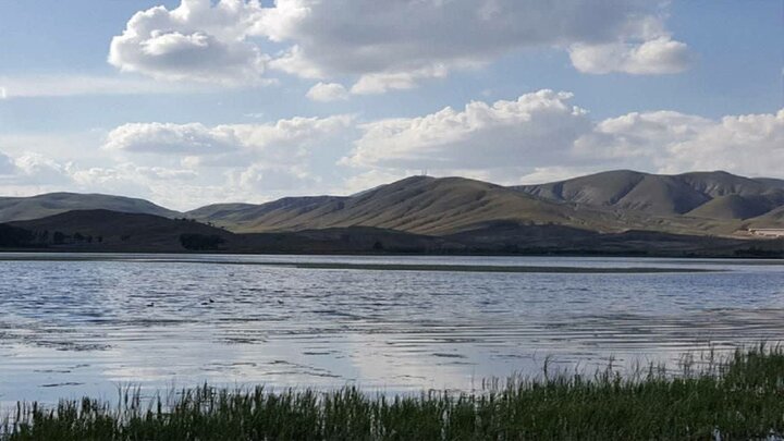 تدوین برنامه جامع سال ۲۰۲۶ برای نجات تالاب‌های ایران