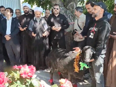 توزیع ۲ هزار بسته گوشت بین مدد جویان کمیته امداد مراغه