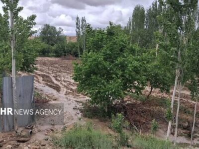 خسارت سیلاب به اراضی رودبار دامغان؛بیمه محصولات کشاورزی تنها راه جبران