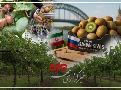 شناسنامه‌دار شدن محصولات کشاورزی؛ گامی اساسی برای سلامت غذا