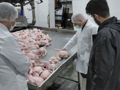 قیمت مرغ و تخم‌مرغ در مازندران باید به نرخ قبلی برگردد
