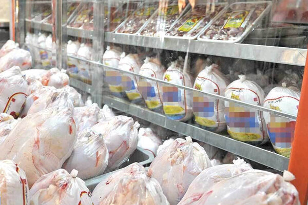 قیمت گوشت مرغ در مازندران باثبات میشود