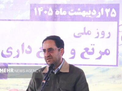 لایحه اصلاح قانون معادن در حمایت مرتع‌داران روی میز مجلس است