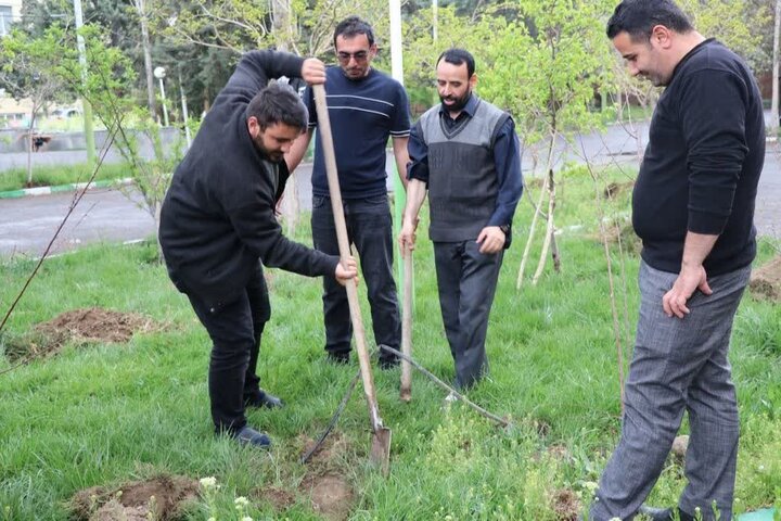 کاشت ۸۶ نهال میوه در جامعهالمصطفی تبریز به یاد قائد شهید کاشت ۸۶ نهال میوه در جامعهالمصطفی تبریز به یاد قائد شهید