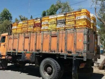 کامیون حامل ۲ هزار قطعه مرغ زنده قاچاق به دام پلیس کرمان افتاد