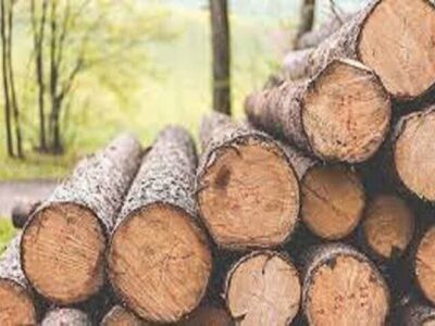 کشف ۴ تن چوب جنگلی قاچاق در ایست و بازرسی خلخال-اسالم
