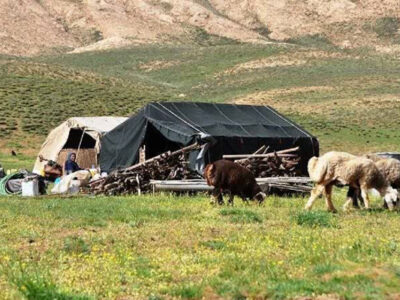 ۵ میلیون خانوار وابسته به مراتع کشور؛ مدیریت هوشمند تنها راه نجات