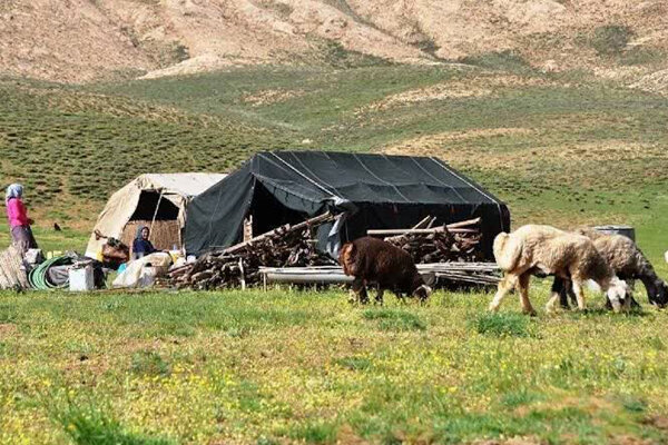 ۵ میلیون خانوار وابسته به مراتع کشور؛ مدیریت هوشمند تنها راه نجات
