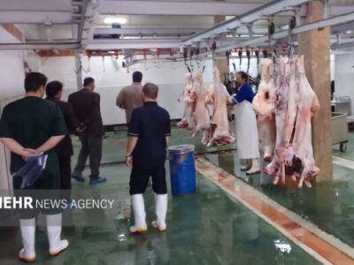 ۶۳ رأس دام سبک و سنگین در شاهرود برای کمک به نیازمندان ذبح شد