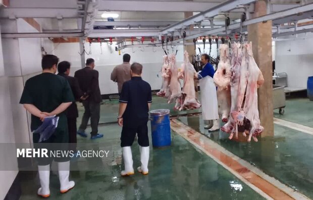۶۳ رأس دام سبک و سنگین در شاهرود برای کمک به نیازمندان ذبح شد