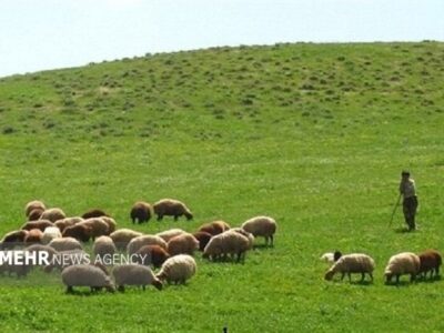 ۹ درصد از عرصه‌های طبیعی ‌کشور در فارس قرار دارد
