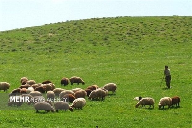 ۹ درصد از عرصه‌های طبیعی ‌کشور در فارس قرار دارد