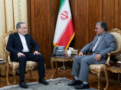  دیدار رئیس دفتر حفاظت منافع ایران در قاهره با عراقچی
