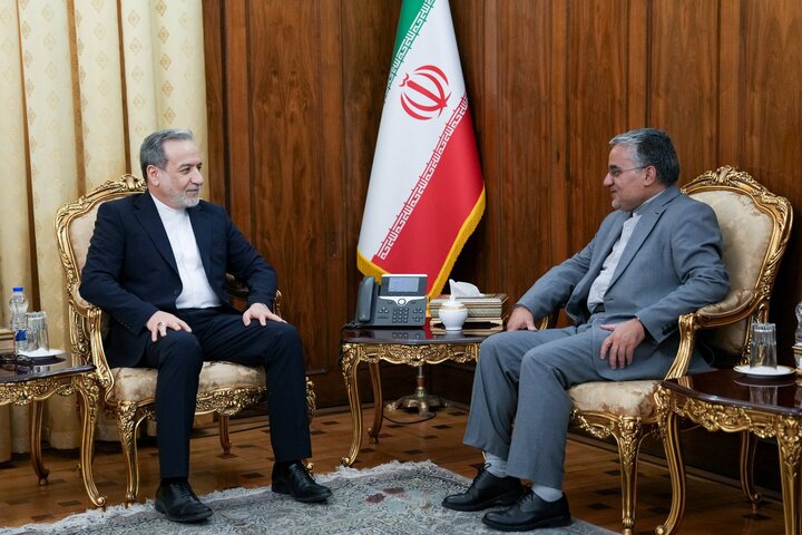دیدار رئیس دفتر حفاظت منافع ایران در قاهره با عراقچی