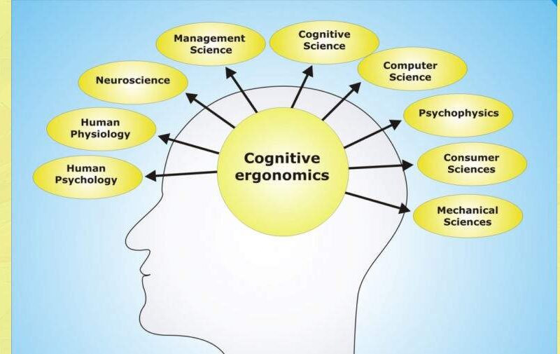 شناخت (Cognition) چیست ؟