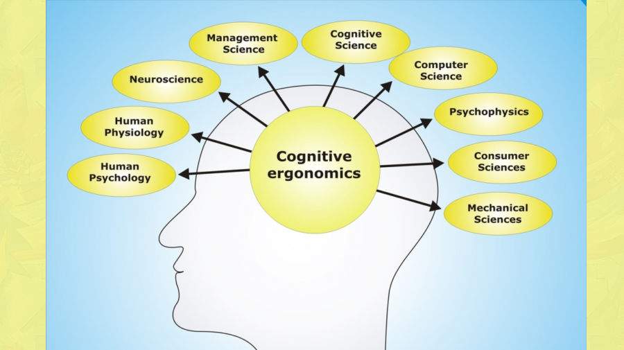 شناخت (Cognition) چیست ؟