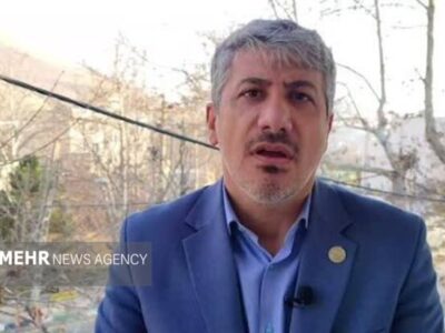 شهردار دماوند: هنوز علت زرد شدن کاج‌های کهنسال را نمی‌دانیم