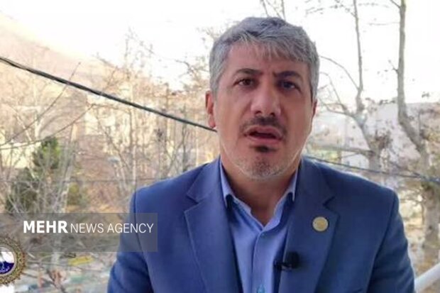 شهردار دماوند: هنوز علت زرد شدن کاج‌های کهنسال را نمی‌دانیم