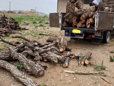 ضربه به شبکه قاچاق چوب در غرب مازندران