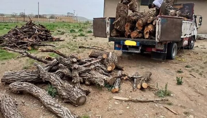 ضربه به شبکه قاچاق چوب در غرب مازندران