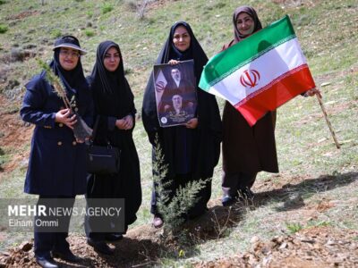 طرح کاشت یک میلیارد درخت در نیمه راه؛ بقای نهال‌ها مهم‌تر از آمار کاشت