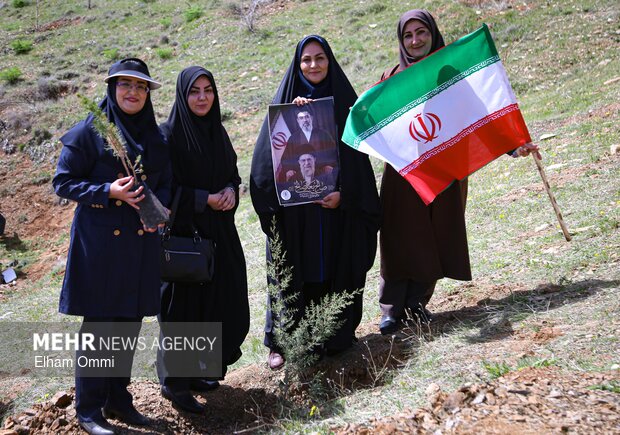 طرح کاشت یک میلیارد درخت در نیمه راه؛ بقای نهالها مهمتر از آمار کاشت