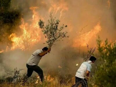 لرستان و معادله پیچیده تابستان؛ حریق‌هایی که همه منشأ انسانی دارند